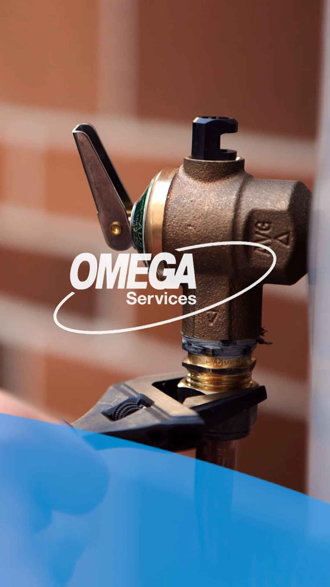 Omega Services